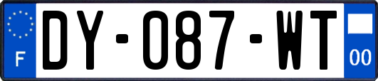 DY-087-WT