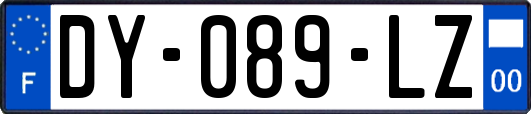 DY-089-LZ