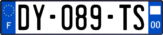 DY-089-TS