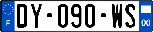 DY-090-WS