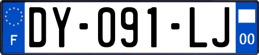 DY-091-LJ