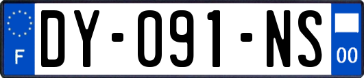 DY-091-NS