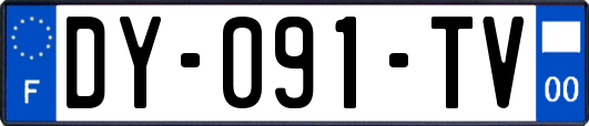 DY-091-TV