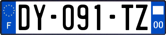 DY-091-TZ