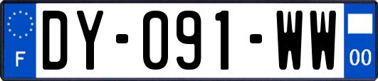 DY-091-WW