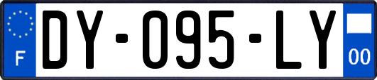 DY-095-LY