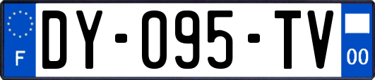 DY-095-TV