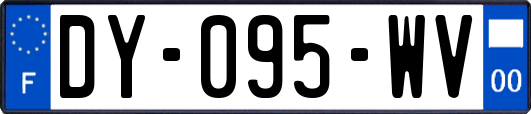 DY-095-WV