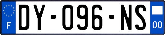 DY-096-NS