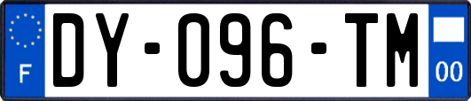 DY-096-TM