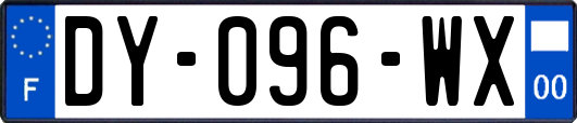 DY-096-WX