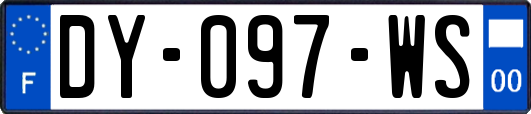 DY-097-WS