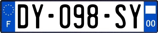 DY-098-SY