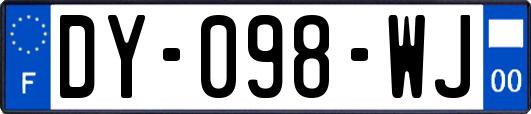 DY-098-WJ