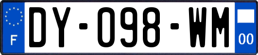 DY-098-WM