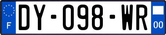 DY-098-WR