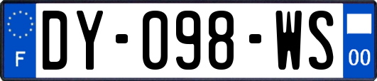 DY-098-WS