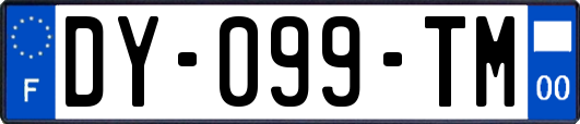 DY-099-TM