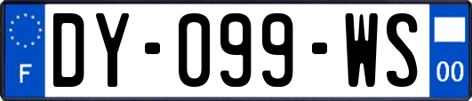 DY-099-WS