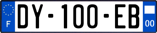DY-100-EB