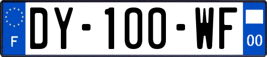 DY-100-WF