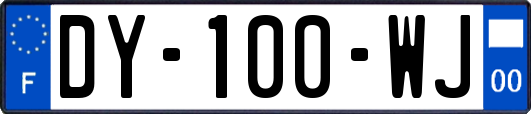 DY-100-WJ