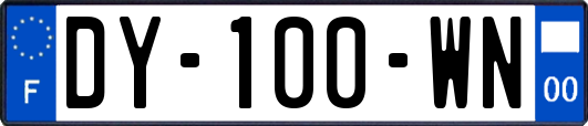 DY-100-WN