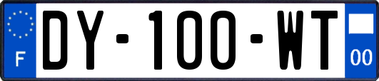 DY-100-WT