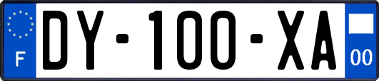 DY-100-XA