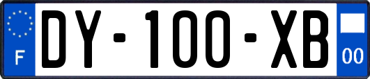 DY-100-XB