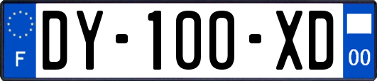 DY-100-XD