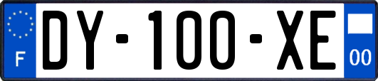 DY-100-XE