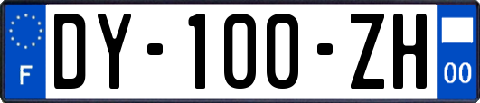 DY-100-ZH