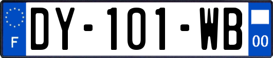 DY-101-WB