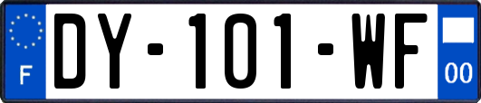 DY-101-WF