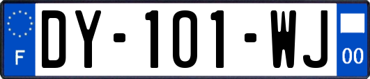 DY-101-WJ