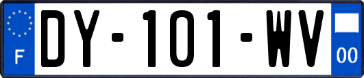 DY-101-WV