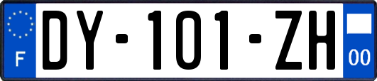 DY-101-ZH