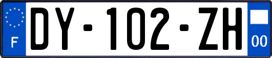 DY-102-ZH