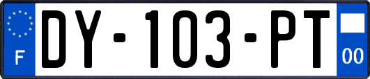 DY-103-PT