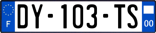 DY-103-TS