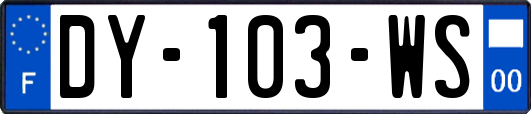 DY-103-WS