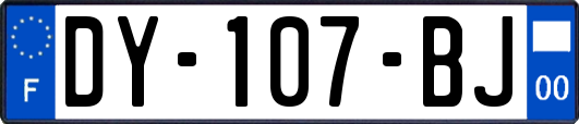 DY-107-BJ