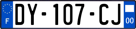 DY-107-CJ