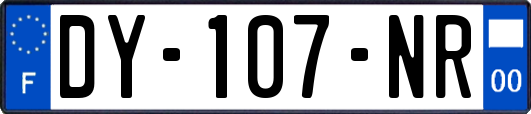 DY-107-NR