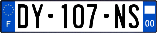 DY-107-NS