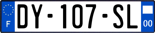 DY-107-SL