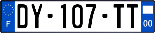 DY-107-TT