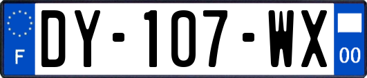 DY-107-WX