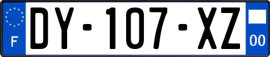 DY-107-XZ